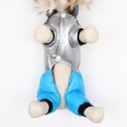 Комбинезон «Пушок», размер 10 (ДС 25 см, ОГ 34 см, ОШ 24 см), голубой - Фото 7