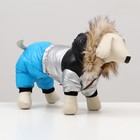 Комбинезон «Пушок», размер 16, ДС 36 см, ОГ 46 см, ОШ 35 см, голубой - Фото 2