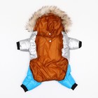 Комбинезон «Пушок», размер 16, ДС 36 см, ОГ 46 см, ОШ 35 см, голубой - Фото 8