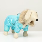 Комбинезон «Глянец», размер 8, ДС 23, ОГ 30, ОГ 22, голубой - Фото 11