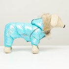 Комбинезон «Глянец», размер 8, ДС 23, ОГ 30, ОГ 22, голубой - Фото 12