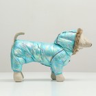 Комбинезон для собак «Глянец», размер 12, ДС 28, ОГ 38, ОШ 27, голубой - Фото 2