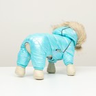 Комбинезон для собак «Глянец», размер 12, ДС 28, ОГ 38, ОШ 27, голубой - Фото 13