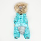 Комбинезон для собак «Глянец», размер 12, ДС 28, ОГ 38, ОШ 27, голубой - Фото 18