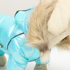 Комбинезон «Глянец», размер 14 (ДС 32, ОГ 42, ОШ 31), голубой - Фото 15