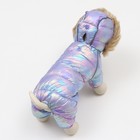 Комбинезон "Глянец", размер 10 (ДС 25, ОГ 34, ОШ 24), фиолетовый - Фото 4