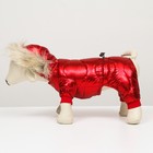 Комбинезон "Девочка" с утяжкой, размер 12 (ДС 28 см, ОГ 38 см, ОШ 27 см), красный - фото 27225900