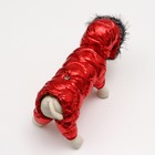 Комбинезон "Девочка" с утяжкой, размер 12 (ДС 28 см, ОГ 38 см, ОШ 27 см), красный - фото 27225901