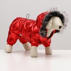 Комбинезон "Девочка" с утяжкой, размер 14 (ДС 32 см, ОГ 42 см, ОШ 31 см), красный - фото 21379967