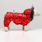 Комбинезон "Девочка" с утяжкой, размер 14 (ДС 32 см, ОГ 42 см, ОШ 31 см), красный - фото 21379966