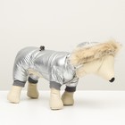 Комбинезон «Мальчик», с утяжкой, размер 12, ДС 28 см, ОГ 38 см, ОШ 27 см, серебристый - Фото 2