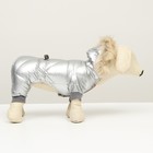 Комбинезон «Мальчик», с утяжкой, размер 12, ДС 28 см, ОГ 38 см, ОШ 27 см, серебристый - Фото 3