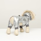 Комбинезон «Мальчик», с утяжкой, размер 12, ДС 28 см, ОГ 38 см, ОШ 27 см, серебристый - Фото 4