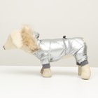 Комбинезон «Мальчик», с утяжкой, размер 12, ДС 28 см, ОГ 38 см, ОШ 27 см, серебристый - Фото 5