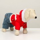 Комбинезон "Малыш", размер 12 (ДС 28 см, ОГ 38 см, ОШ 27 см), красно-серый - фото 27181006