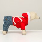 Комбинезон "Малыш", размер 12 (ДС 28 см, ОГ 38 см, ОШ 27 см), красно-серый - фото 27181005