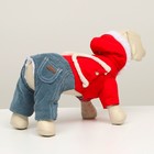 Комбинезон "Малыш", размер 12 (ДС 28 см, ОГ 38 см, ОШ 27 см), красно-серый - фото 27181007