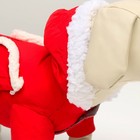 Комбинезон "Малыш", размер 12 (ДС 28 см, ОГ 38 см, ОШ 27 см), красно-серый - фото 27181009