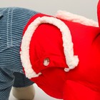 Комбинезон "Малыш", размер 12 (ДС 28 см, ОГ 38 см, ОШ 27 см), красно-серый - фото 27181010