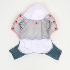 Комбинезон "Малыш", размер 12 (ДС 28 см, ОГ 38 см, ОШ 27 см), красно-серый - фото 27181011