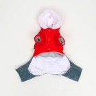 Комбинезон "Малыш", размер 12 (ДС 28 см, ОГ 38 см, ОШ 27 см), красно-серый - фото 27181012