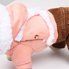 Комбинезон "Малыш", размер 12 (ДС 28 см, ОГ 38 см, ОШ 27 см), бежево-коричневый - фото 27181019