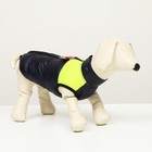 Куртка для собак на молнии, размер 8 (ДС 23 см, ОГ 30, ОШ 22 см), синяя с жёлтым - фото 3665563