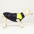 Куртка для собак на молнии, размер 8 (ДС 23 см, ОГ 30, ОШ 22 см), синяя с жёлтым - Фото 2