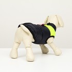 Куртка для собак на молнии, размер 8 (ДС 23 см, ОГ 30, ОШ 22 см), синяя с жёлтым - фото 6480657
