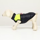 Куртка для собак на молнии, размер 8 (ДС 23 см, ОГ 30, ОШ 22 см), синяя с жёлтым - Фото 4
