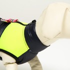 Куртка для собак на молнии, размер 8 (ДС 23 см, ОГ 30, ОШ 22 см), синяя с жёлтым - Фото 5