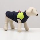 Куртка для собак на молнии, размер 10 (ДС 25 см, ОГ 34 см, ОШ 24 см), синяя с жёлтым - фото 3665572