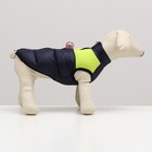 Куртка для собак на молнии, размер 10 (ДС 25 см, ОГ 34 см, ОШ 24 см), синяя с жёлтым - Фото 2