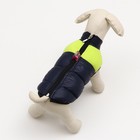 Куртка для собак на молнии, размер 10 (ДС 25 см, ОГ 34 см, ОШ 24 см), синяя с жёлтым - Фото 3