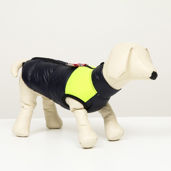 Куртка для собак на молнии, размер 12 (ДС 28 см, ОГ 38 см, ОШ 27 см), синяя с жёлтым