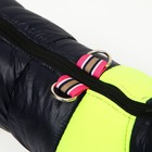 Куртка для собак на молнии, р-р 14 (ДС 32 см, ОГ 42 см, ОШ 31 см), синяя с жёлтым - фото 53806704