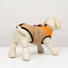 Куртка для собак на молнии, размер 8 (ДС 23 см, ОГ 30, ОШ 22 см), бежевая с оранжевым - Фото 4