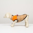 Куртка для собак на молнии, размер 8 (ДС 23 см, ОГ 30, ОШ 22 см), бежевая с оранжевым - Фото 5