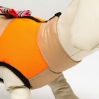 Куртка для собак на молнии, размер 8 (ДС 23 см, ОГ 30, ОШ 22 см), бежевая с оранжевым - Фото 6