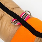 Куртка для собак на молнии, размер 8 (ДС 23 см, ОГ 30, ОШ 22 см), бежевая с оранжевым - Фото 7