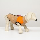 Куртка для собак на молнии, размер 12 (ДС 28 см, ОГ 38 см, ОШ 27 см), бежевая с оранжевым - фото 9777304