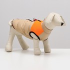 Куртка для собак на молнии, размер 18 (ДС 40 см, ОГ 50 см, ОШ 38 см), бежевая с оранжевым - Фото 2