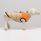 Куртка для собак на молнии, размер 18 (ДС 40 см, ОГ 50 см, ОШ 38 см), бежевая с оранжевым - Фото 3