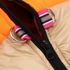 Куртка для собак на молнии, размер 18 (ДС 40 см, ОГ 50 см, ОШ 38 см), бежевая с оранжевым - Фото 9