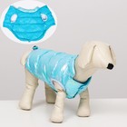 Куртка для собак двухсторонняя с утяжкой,  размер 8 (ДС 23 см, ОГ 30, ОШ22 см), голубая - фото 318672434