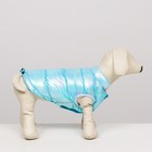 Куртка для собак двухсторонняя с утяжкой, размер 10 (ДС 25 см,ОГ 34 см,ОШ 24 см),голубая - Фото 2