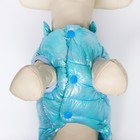 Куртка для собак двухсторонняя с утяжкой, размер 10 (ДС 25 см,ОГ 34 см,ОШ 24 см),голубая - Фото 5