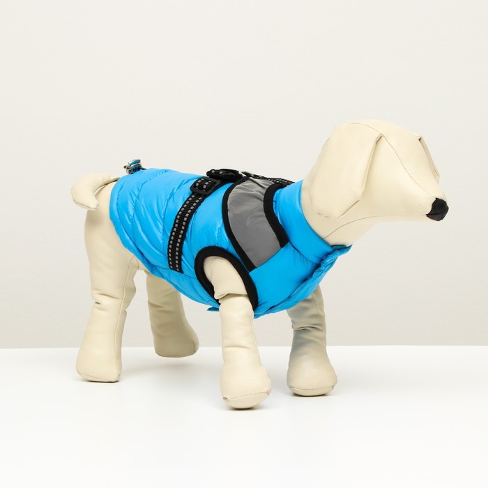 Куртка для собак со светоотражающей шлейкой, размер 12 (ДС 28, ОГ 38, ОШ 27), голубая