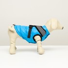 Куртка для собак со светоотражающей шлейкой, размер 12 (ДС 28, ОГ 38, ОШ 27), голубая - Фото 2