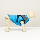 Куртка для собак со светоотражающей шлейкой, размер 12 (ДС 28, ОГ 38, ОШ 27), голубая - Фото 2